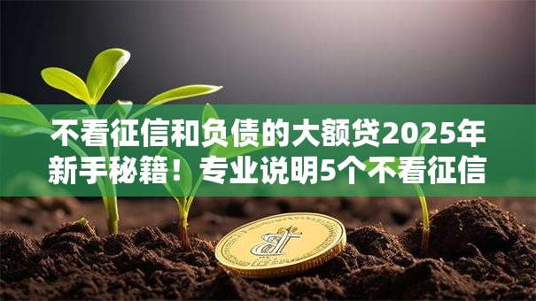不看征信和负债的大额贷2025年新手秘籍！专业说明5个不看征信负债的网贷口子