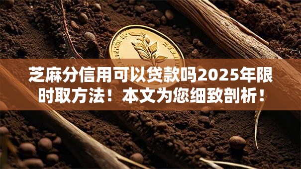 芝麻分信用可以贷款吗2025年限时取方法!本文为您细致剖析! 芝麻分信用可以贷款吗2025年限时取方法!本文为您细致剖析!