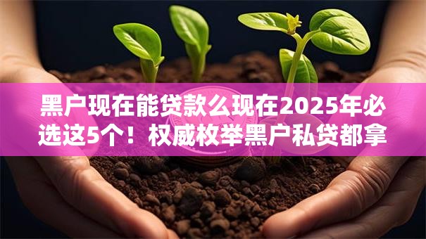 黑户现在能贷款么现在2025年必选这5个！权威枚举黑户私贷都拿不到了