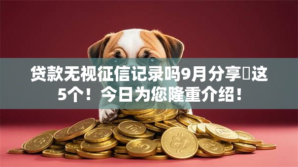 贷款无视征信记录吗9月分享​这5个！今日为您隆重介绍！