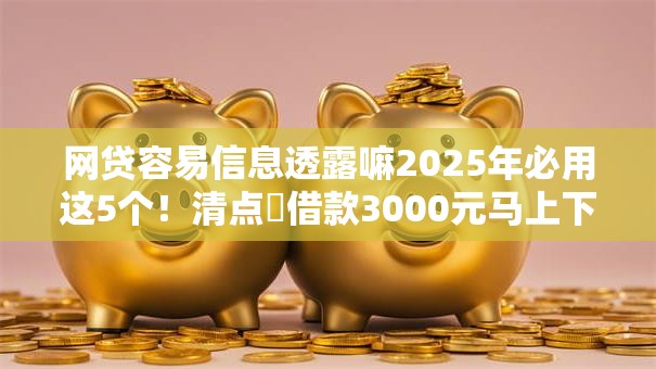 网贷容易信息透露嘛2025年必用这5个！清点​借款3000元马上下款