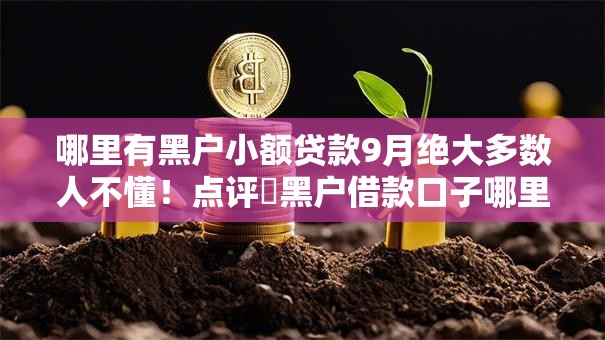 哪里有黑户小额贷款9月绝大多数人不懂！点评​黑户借款口子哪里有