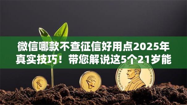 微信哪款不查征信好用点2025年真实技巧！带您解说这5个21岁能借款的平台