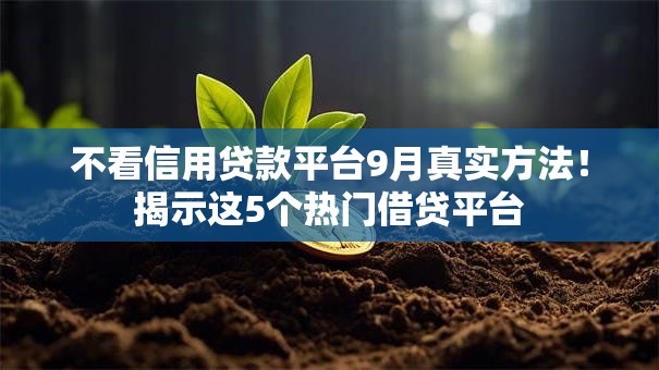 不看信用贷款平台9月真实方法！揭示这5个热门借贷平台