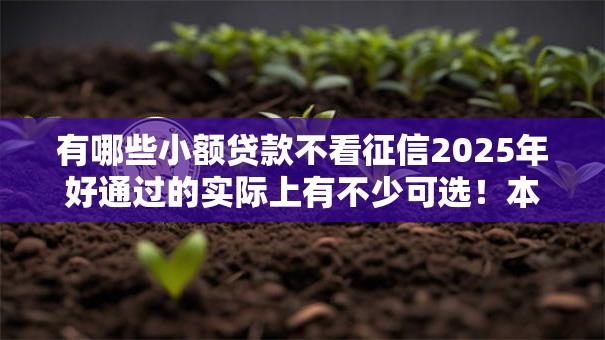 有哪些小额贷款不看征信2025年好通过的实际上有不少可选！本篇为您深入评述这五个黑户借钱平台！