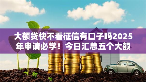 大额贷快不看征信有口子吗2025年申请必学！今日汇总五个大额网贷快借平台不看征信