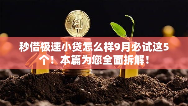 秒借极速小贷怎么样9月必试这5个！本篇为您全面拆解！