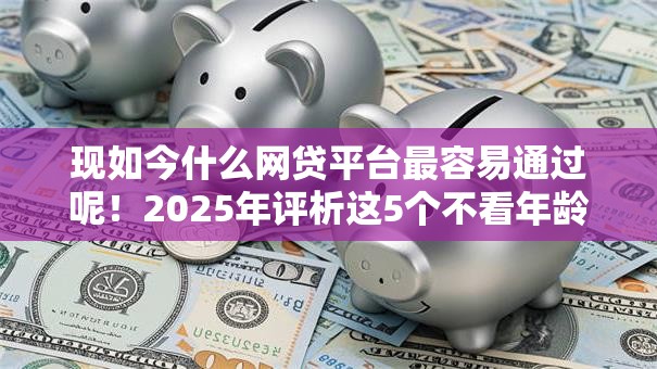 现如今什么网贷平台最容易通过呢！2025年评析这5个不看年龄贷款软件