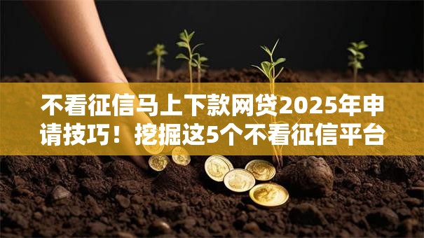 不看征信马上下款网贷2025年申请技巧！挖掘这5个不看征信平台借钱马上到账