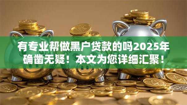 有专业帮做黑户贷款的吗2025年确凿无疑！本文为您详细汇聚！