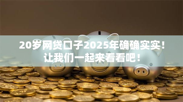 20岁网贷口子2025年确确实实！让我们一起来看看吧！