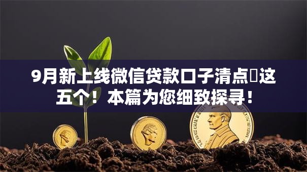 9月新上线微信贷款口子清点​这五个！本篇为您细致探寻！