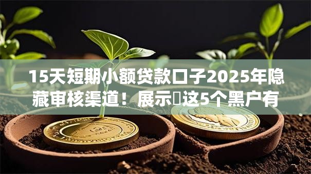 15天短期小额贷款口子2025年隐藏审核渠道！展示​这5个黑户有公积金贷款app
