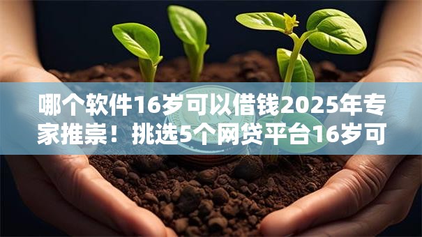 哪个软件16岁可以借钱2025年专家推崇！挑选5个网贷平台16岁可贷款