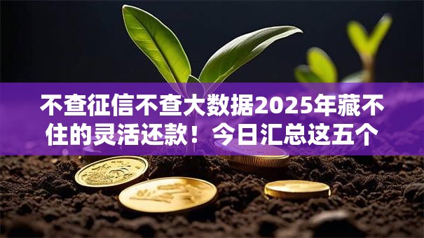 不查征信不查大数据2025年藏不住的灵活还款！今日汇总这五个借钱口子不查征信不查大数据