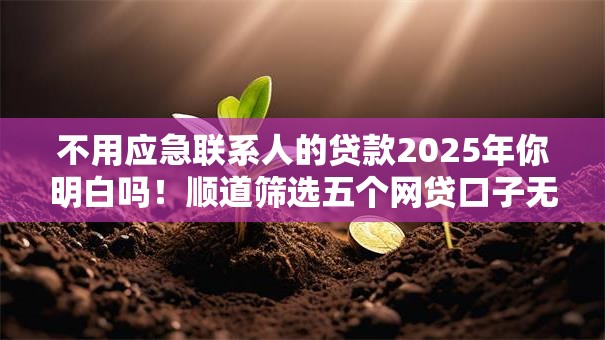不用应急联系人的贷款2025年你明白吗！顺道筛选五个网贷口子无需应急联系人