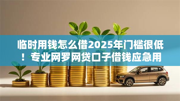 临时用钱怎么借2025年门槛很低！专业网罗网贷口子借钱应急用