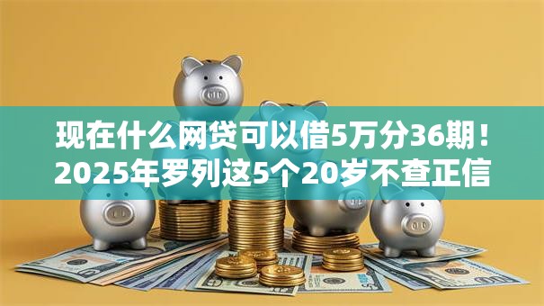 现在什么网贷可以借5万分36期！2025年罗列这5个20岁不查正信的借款平台
