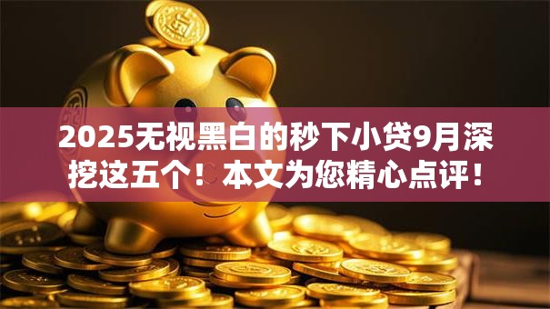 2025无视黑白的秒下小贷9月深挖这五个！本文为您精心点评！