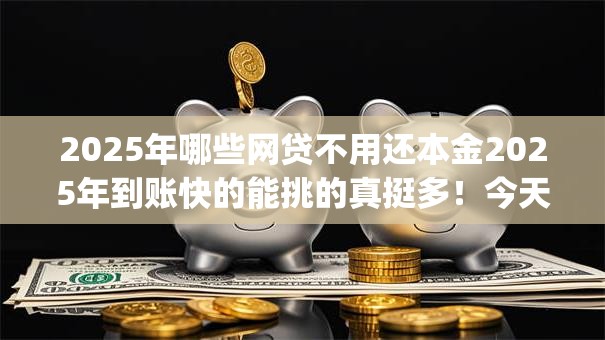 2025年哪些网贷不用还本金2025年到账快的能挑的真挺多！今天列举这五个网贷app！