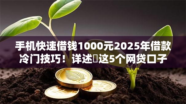 手机快速借钱1000元2025年借款冷门技巧！详述​这5个网贷口子快速借款1000元