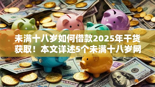 未满十八岁如何借款2025年干货获取！本文详述5个未满十八岁网贷平台不能借