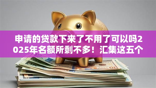申请的贷款下来了不用了可以吗2025年名额所剩不多！汇集这五个申请的网贷下来了不用了可以