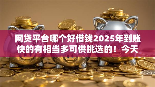 网贷平台哪个好借钱2025年到账快的有相当多可供挑选的！今天全面融合这五个借钱平台！