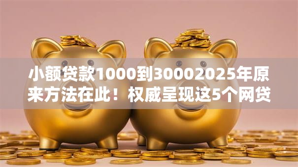 小额贷款1000到30002025年原来方法在此！权威呈现这5个网贷口子借1000到3000