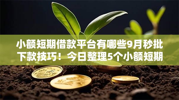 小额短期借款平台有哪些9月秒批下款技巧！今日整理5个小额短期网贷口子不少