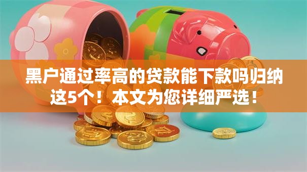 黑户通过率高的贷款能下款吗归纳这5个！本文为您详细严选！