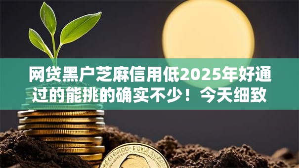 网贷黑户芝麻信用低2025年好通过的能挑的确实不少！今天细致过滤这五个贷款口子！