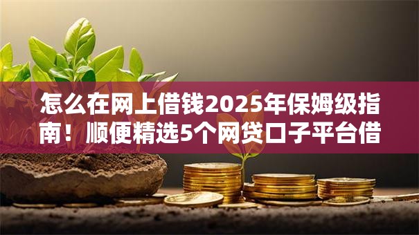 怎么在网上借钱2025年保姆级指南！顺便精选5个网贷口子平台借款贷款借钱