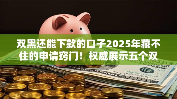 双黑还能下款的口子2025年藏不住的申请窍门！权威展示五个双黑网贷软件还能借钱下款