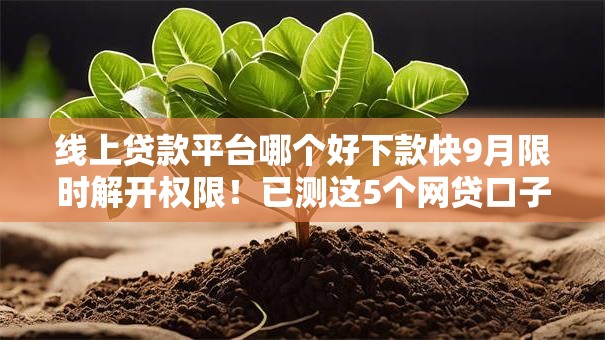 线上贷款平台哪个好下款快9月限时解开权限！已测这5个网贷口子借钱下款快好用
