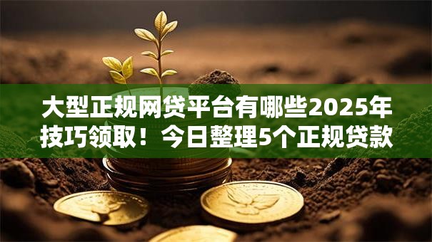 大型正规网贷平台有哪些2025年技巧领取！今日整理5个正规贷款口子软件有很多大型