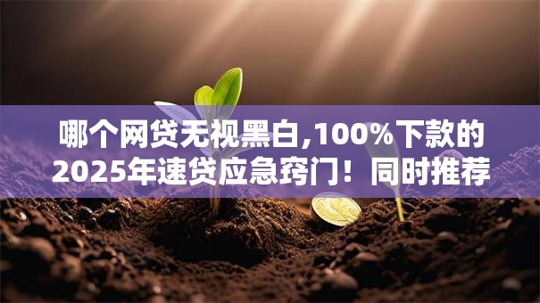 哪个网贷无视黑白,100%下款的2025年速贷应急窍门！同时推荐这五个人人能通过的网贷500