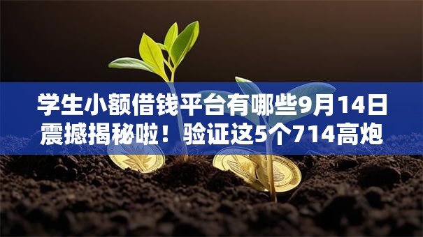 学生小额借钱平台有哪些9月14日震撼揭秘啦！验证这5个714高炮口子2025