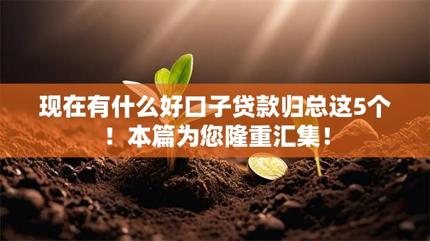 现在有什么好口子贷款归总这5个！本篇为您隆重汇集！