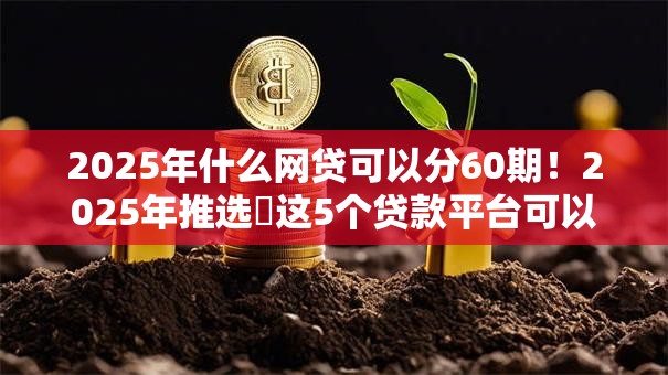 2025年什么网贷可以分60期！2025年推选​这5个贷款平台可以分六十期