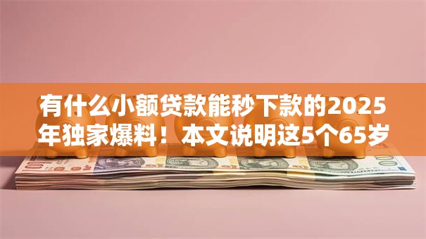有什么小额贷款能秒下款的2025年独家爆料！本文说明这5个65岁可以网上贷款