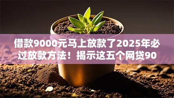 借款9000元马上放款了2025年必过放款方法！揭示这五个网贷9000元马上平台放款了