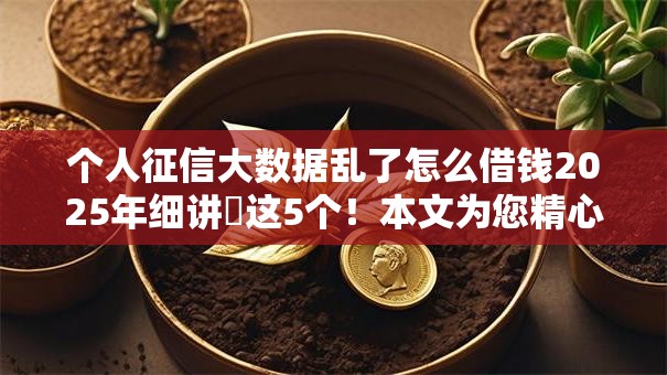 个人征信大数据乱了怎么借钱2025年细讲​这5个！本文为您精心阐述！
