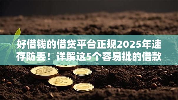 好借钱的借贷平台正规2025年速存防丢！详解这5个容易批的借款