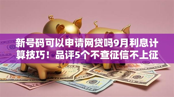 新号码可以申请网贷吗9月利息计算技巧！品评5个不查征信不上征信的大额网贷