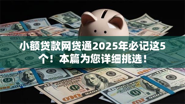 小额贷款网贷通2025年必记这5个！本篇为您详细挑选！
