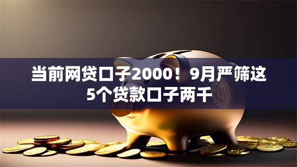 当前网贷口子2000！9月严筛这5个贷款口子两千