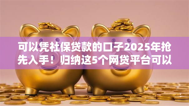 可以凭社保贷款的口子2025年抢先入手！归纳这5个网贷平台可以凭社保借钱