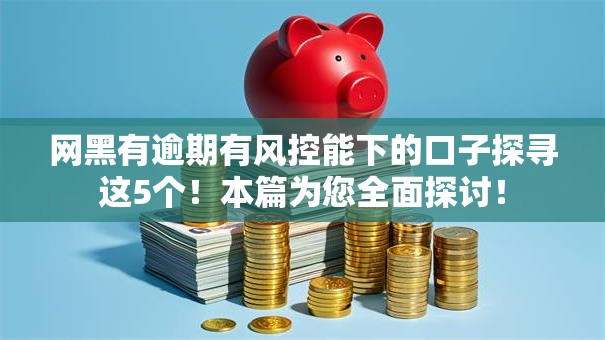 网黑有逾期有风控能下的口子探寻这5个！本篇为您全面探讨！