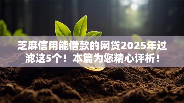 芝麻信用能借款的网贷2025年过滤这5个！本篇为您精心评析！